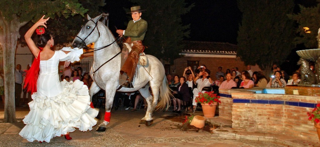 Flamenco Festival Iznajar Andalucia