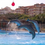 Selwo Marina Benalmadena