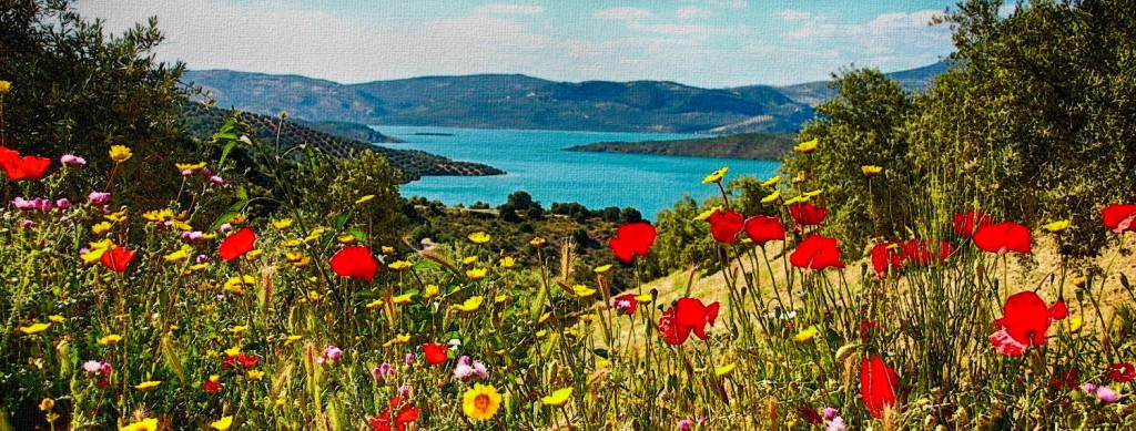 Lake Iznajar Cordoba Andalucia