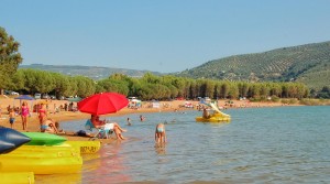 Summer on the Beach