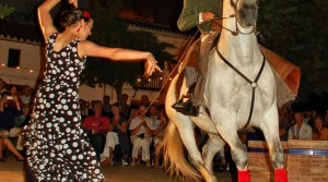 Flamenco Festival in Iznajar 2014