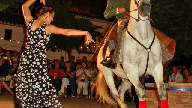 Flamenco Festival in Iznajar 2014