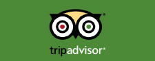 TripAdvisor Reviews